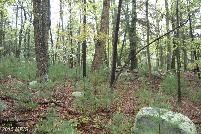 17 LOT LUPTON DRIVE, Capon Bridge, WV 26711