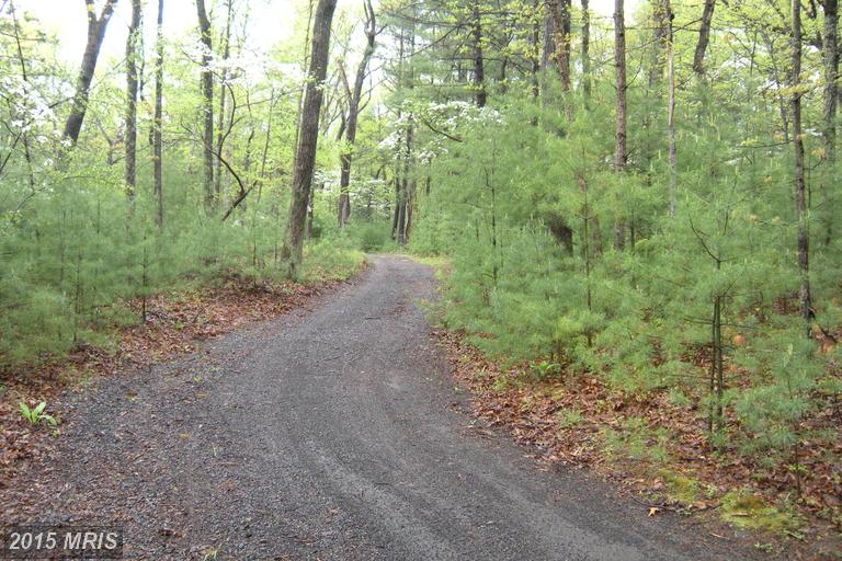 17 LOT LUPTON DRIVE, Capon Bridge, WV 26711