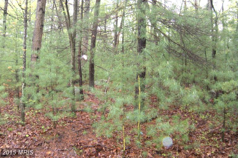 17 LOT LUPTON DRIVE, Capon Bridge, WV 26711