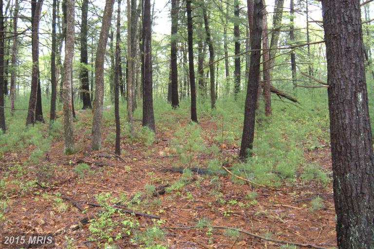 17 LOT LUPTON DRIVE, Capon Bridge, WV 26711