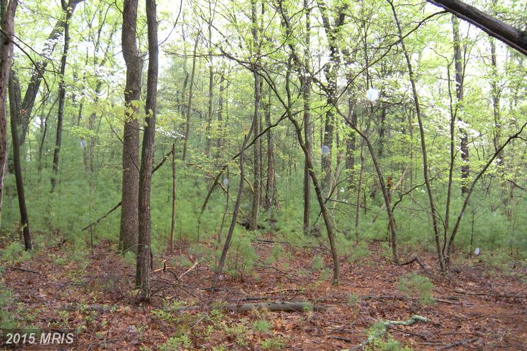 17 LOT LUPTON DRIVE, Capon Bridge, WV 26711