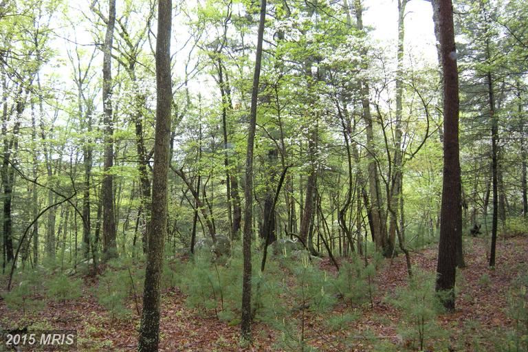 17 LOT LUPTON DRIVE, Capon Bridge, WV 26711