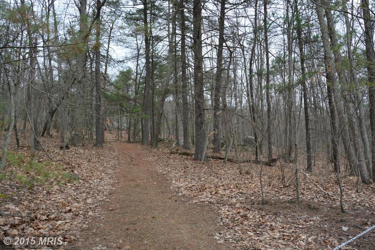 LOT #5 COOPER MT VIEW DRIVE, Capon Bridge, WV 26711
