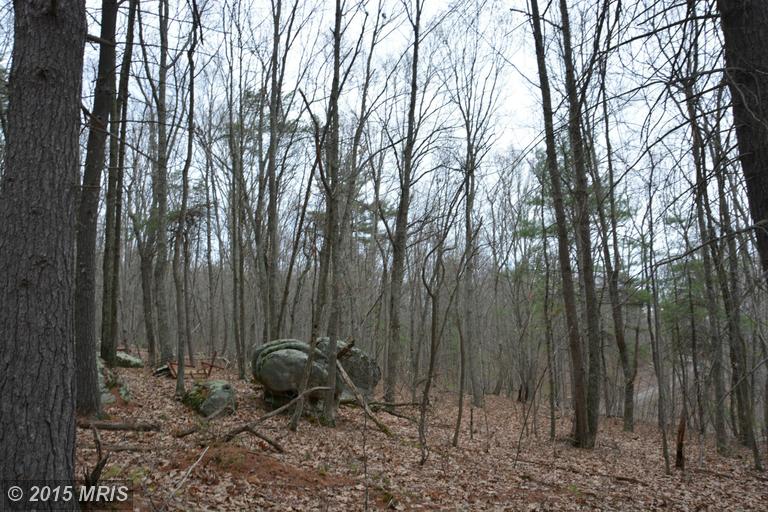 LOT #5 COOPER MT VIEW DRIVE, Capon Bridge, WV 26711
