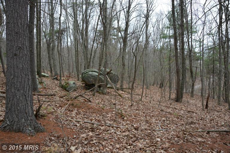LOT #5 COOPER MT VIEW DRIVE, Capon Bridge, WV 26711