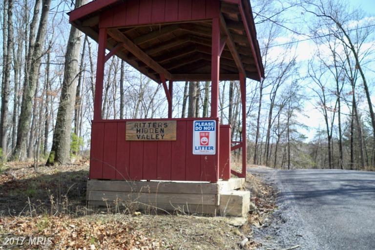 420 HAZEL LANE, Capon Bridge, WV 26711