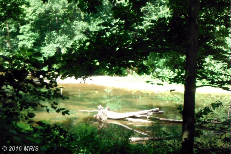 21 RAGING RIVER Dr, Capon Bridge, WV 26711