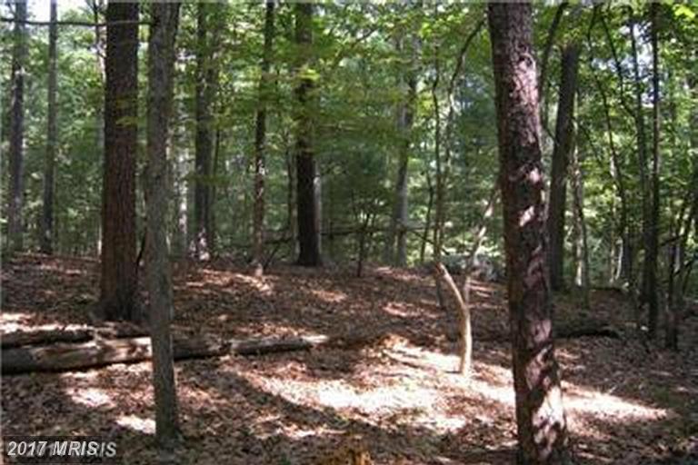 123 AMBROGI DRIVE, Capon Bridge, WV 26711