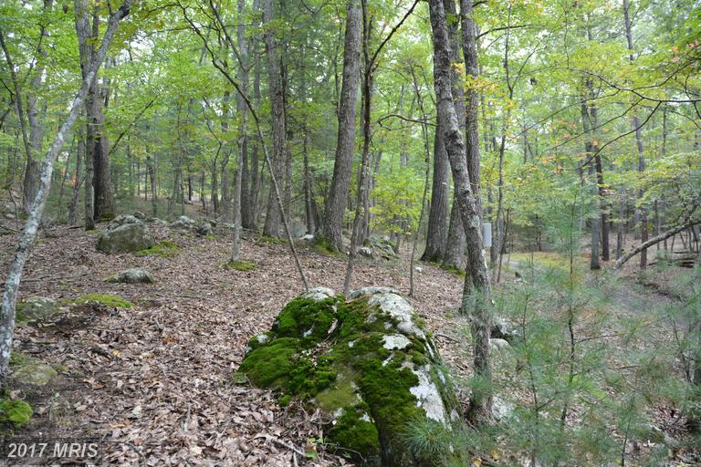 123 AMBROGI DRIVE, Capon Bridge, WV 26711