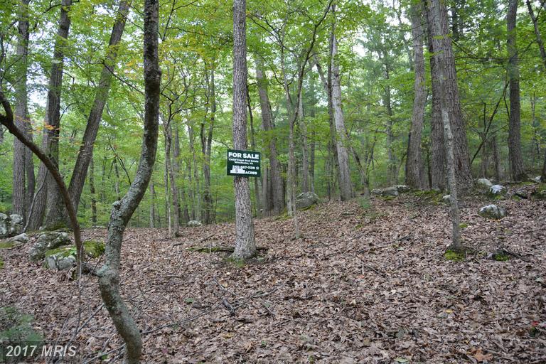 123 AMBROGI DRIVE, Capon Bridge, WV 26711