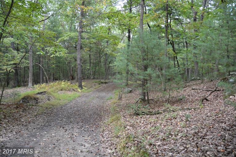 123 AMBROGI DRIVE, Capon Bridge, WV 26711