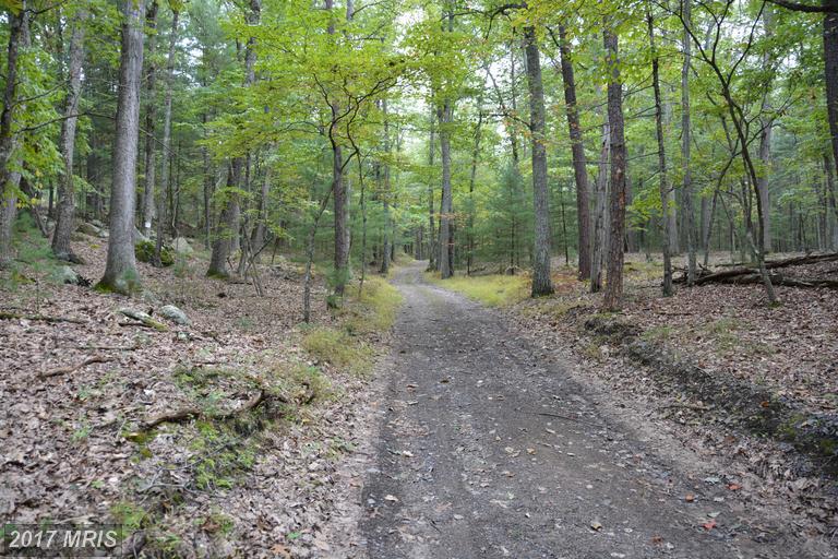 123 AMBROGI DRIVE, Capon Bridge, WV 26711