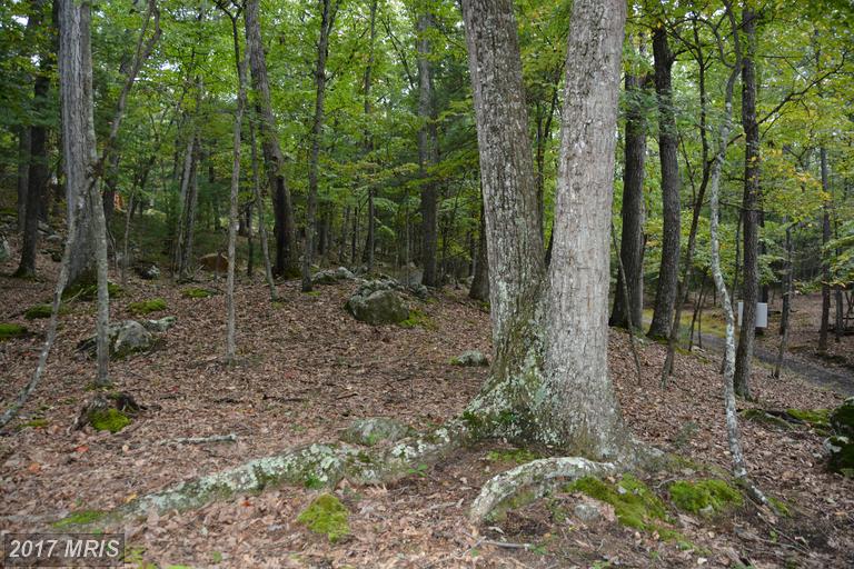 123 AMBROGI DRIVE, Capon Bridge, WV 26711