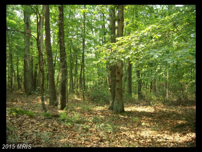 11 SEC 6 HAINES DRIVE, Capon Bridge, WV 26711
