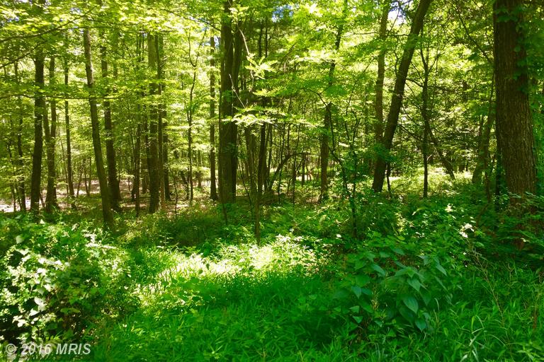 LOT 17 FALCON VIEW DRIVE, Capon Bridge, WV 26711