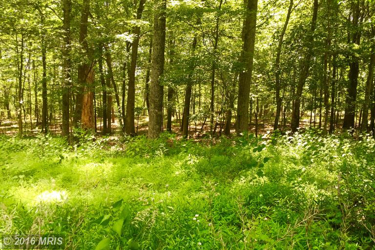 LOT 16 FALCON VIEW DRIVE, Capon Bridge, WV 26711