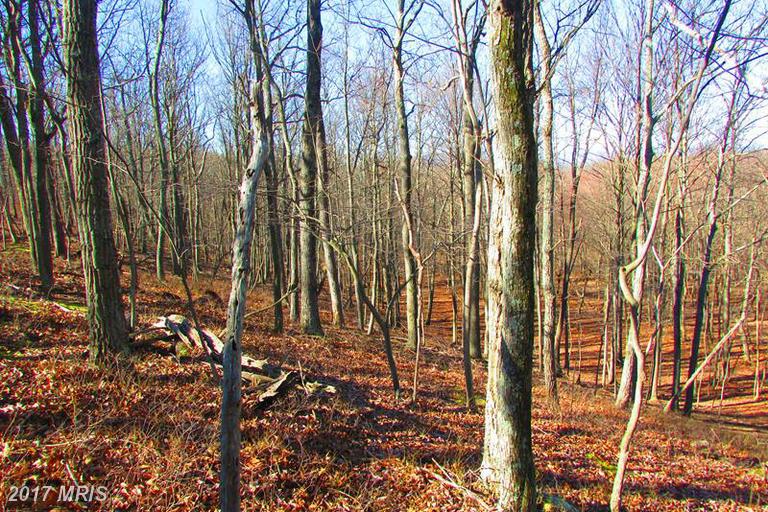 2122 COOPER RIDGE ESTATES, Capon Bridge, WV 26711