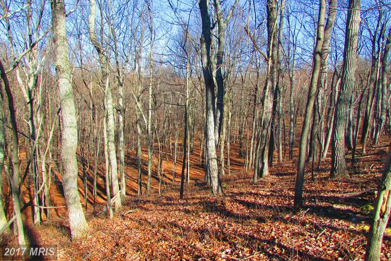 2122 COOPER RIDGE ESTATES, Capon Bridge, WV 26711