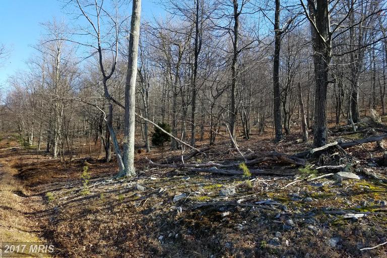 ORNDORFF WAY, Capon Bridge, WV 26711