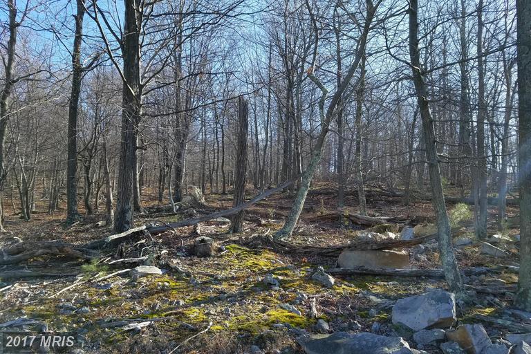ORNDORFF WAY, Capon Bridge, WV 26711