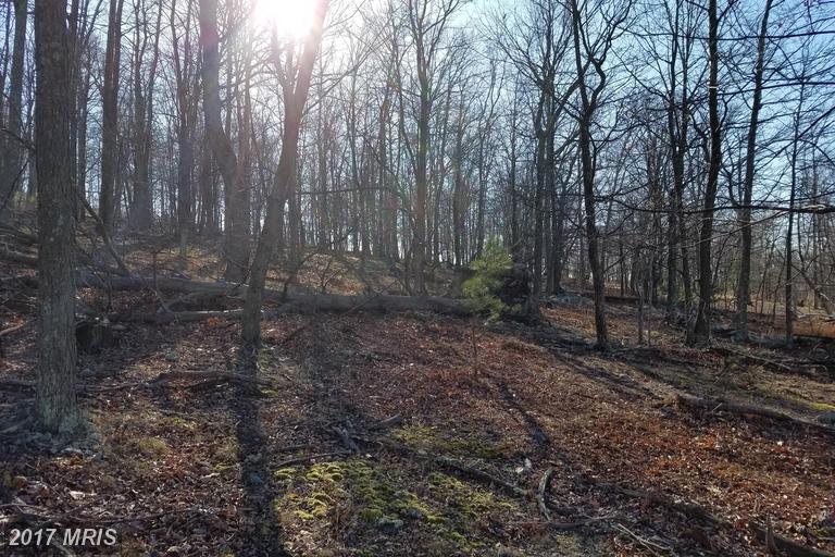 ORNDORFF WAY, Capon Bridge, WV 26711