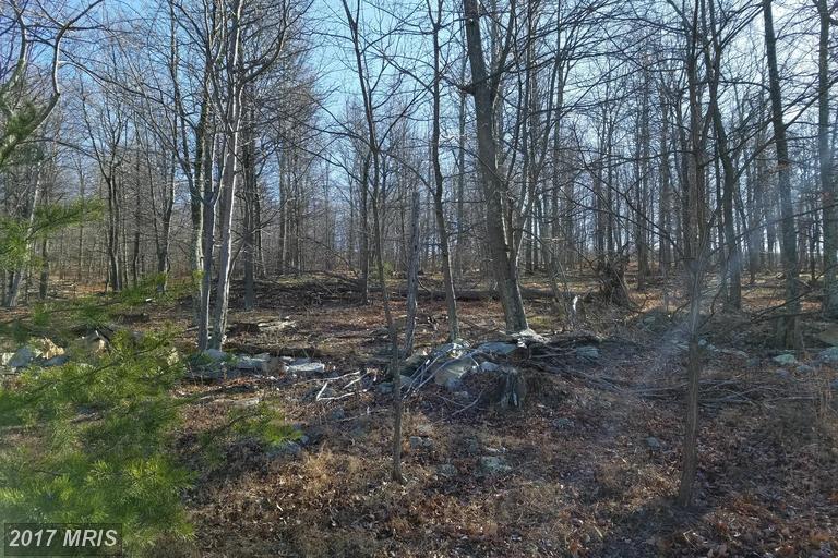 ORNDORFF WAY, Capon Bridge, WV 26711