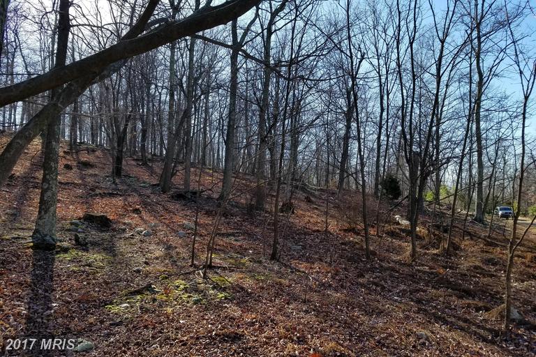 ORNDORFF WAY, Capon Bridge, WV 26711