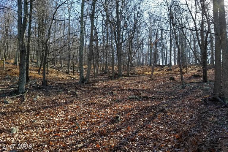 ORNDORFF WAY, Capon Bridge, WV 26711