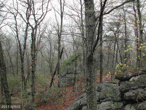 56 LOT#,SEC7A HAINES DRIVE, Capon Bridge, WV 26711