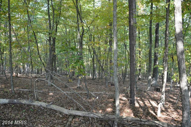 LOT 38 LONG VIEW LANE, Capon Bridge, WV 26711