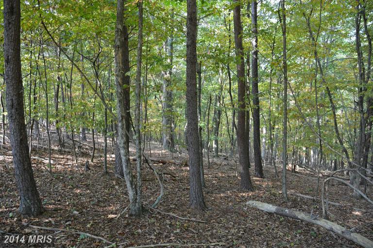 LOT 38 LONG VIEW LANE, Capon Bridge, WV 26711