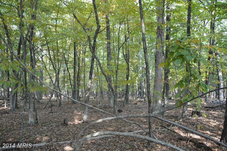 LOT 38 LONG VIEW LANE, Capon Bridge, WV 26711