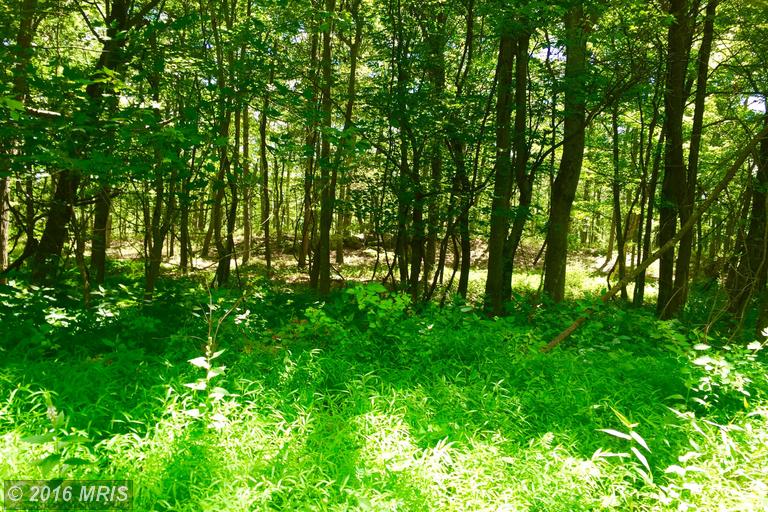 LOT 15 FALCON VIEW DRIVE, Capon Bridge, WV 26711