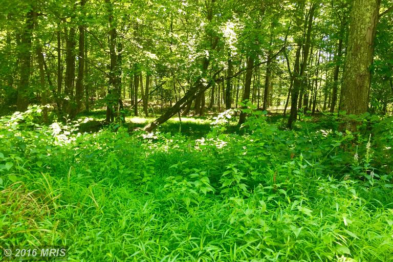 LOT 15 FALCON VIEW DRIVE, Capon Bridge, WV 26711