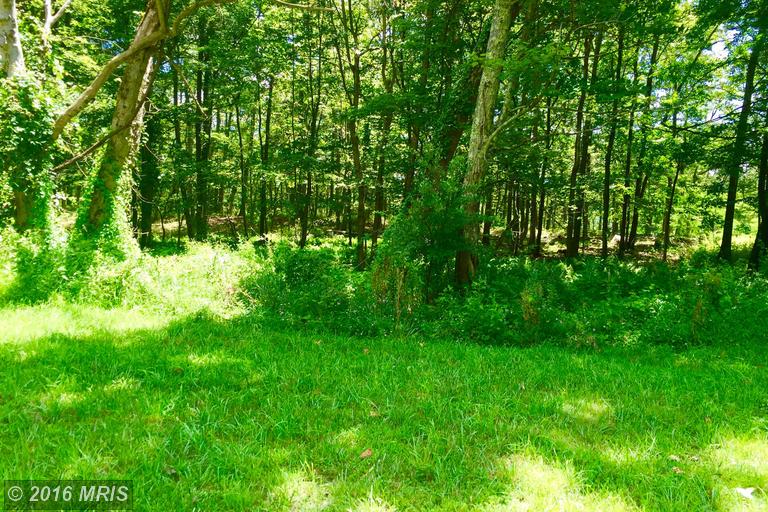 LOT 15 FALCON VIEW DRIVE, Capon Bridge, WV 26711
