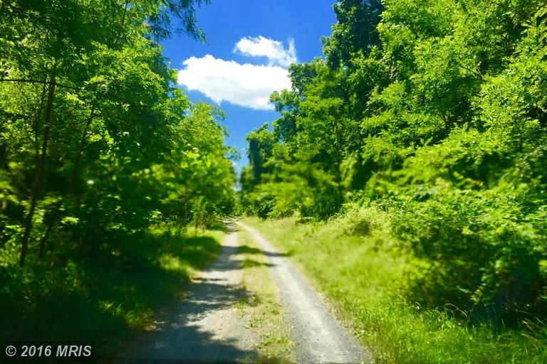LOT 15 FALCON VIEW DRIVE, Capon Bridge, WV 26711