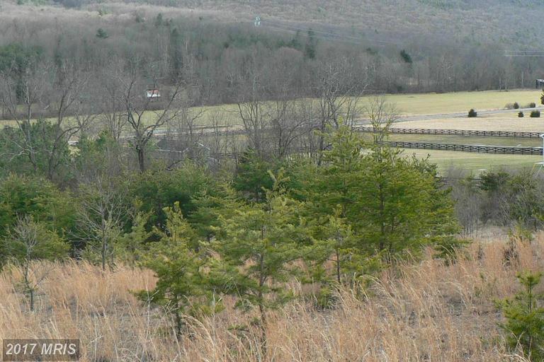 NORTH CRESCENT DRIVE, Delray, WV 26714