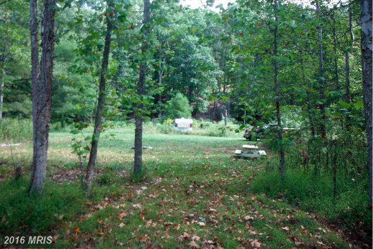 9 NORTH RIVER FORD, Delray, WV 26714