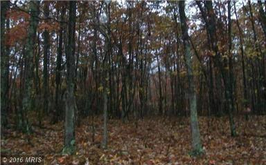 RADNOR DRIVE, Delray, WV 26714