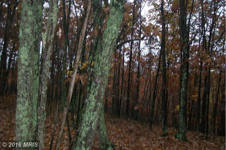 RADNOR DRIVE, Delray, WV 26714