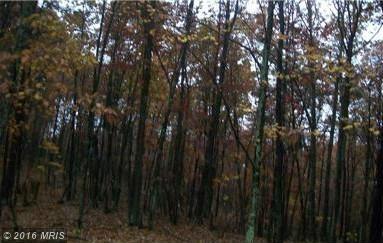 RADNOR DRIVE, Delray, WV 26714