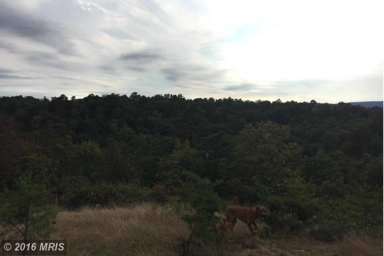DOGWOOD HILL Dr, Fort Ashby, WV 26719