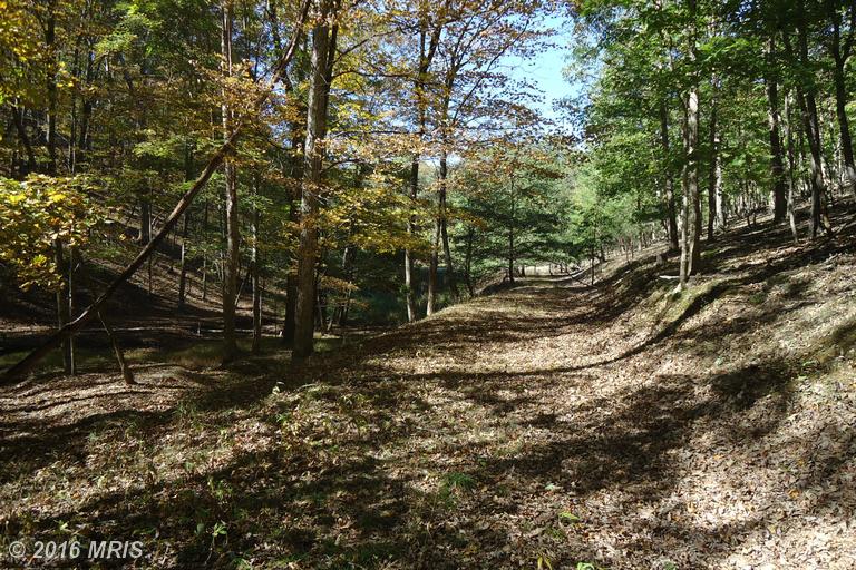 31 CHAMPWOOD RIDGE Ct, Fort Ashby, WV 26719