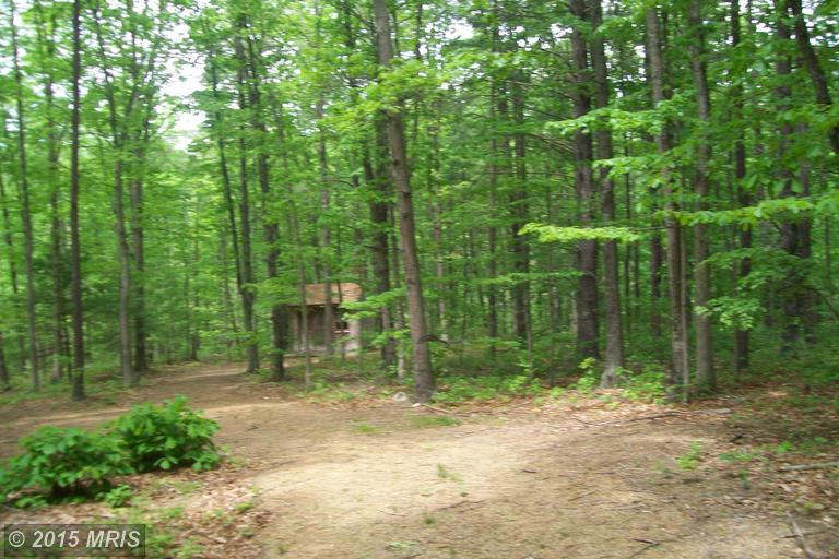 10 Woodland Lane