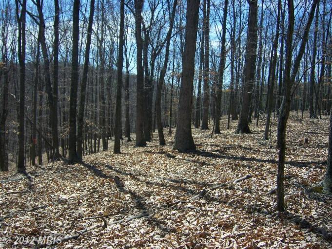 13 Thorn Run Road