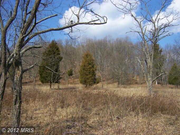 13 Thorn Run Road