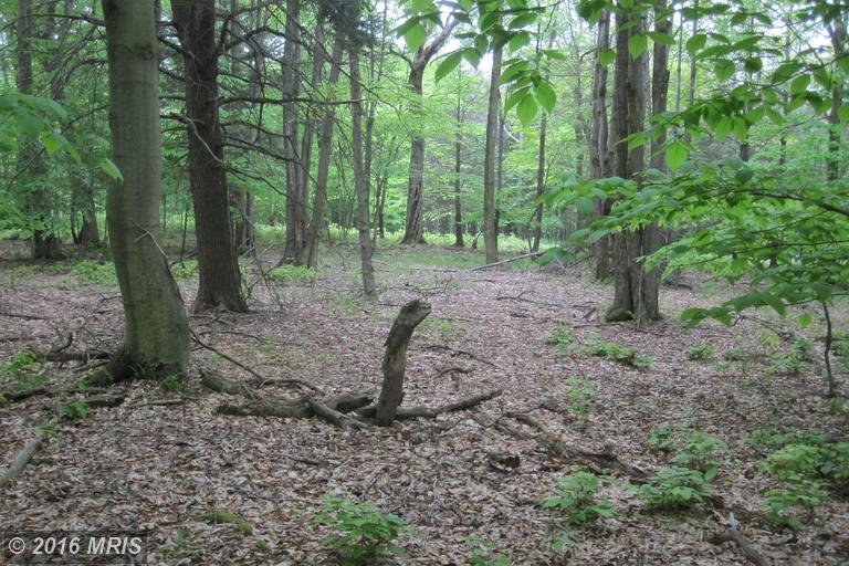 LAKE RIDGE HEIGHTS, Mount Storm, WV 26739
