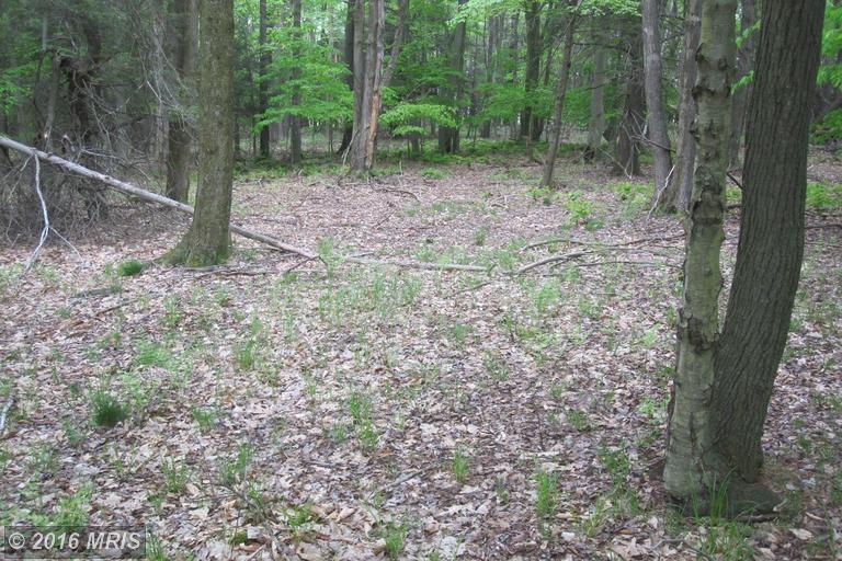 LAKE RIDGE HEIGHTS, Mount Storm, WV 26739