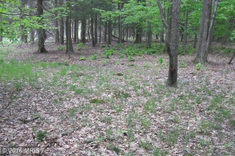 LAKE RIDGE HEIGHTS, Mount Storm, WV 26739