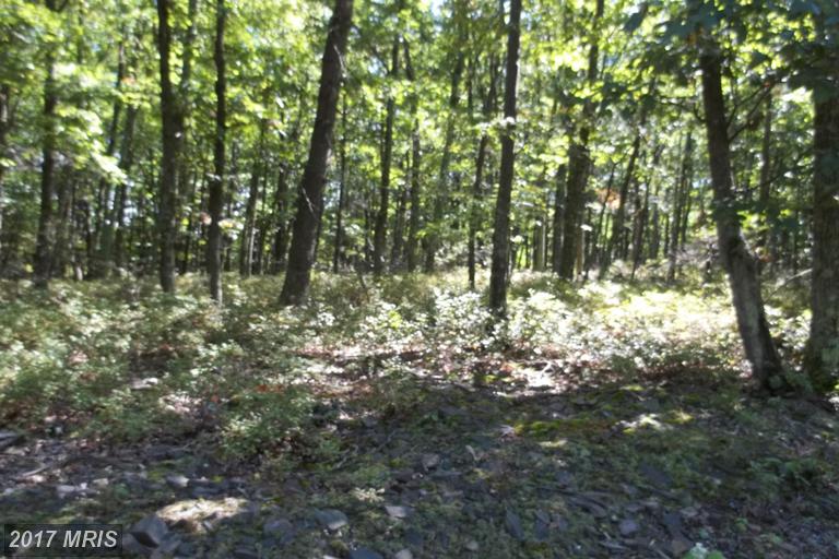 AUTUMN LEAF DRIVE, New Creek, WV 26743